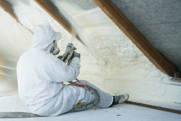 Best Eco-Friendly or Green Insulation Solutions in Summersville, WV